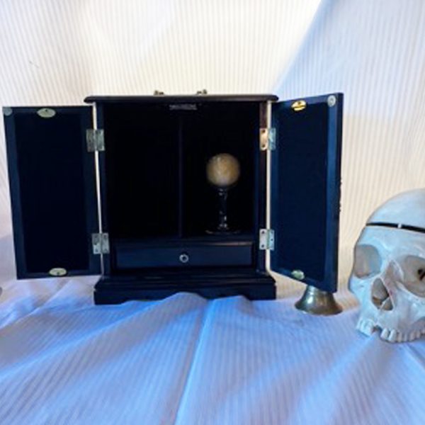 Spiritccase 3