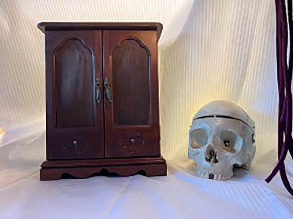 Spirit Case 4
